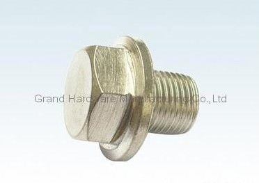M27 NPT 1/2 INCH Magnetische Ölabflusssteckdosen, männliche NPT BSP Metrisches Gewinde, Nickelplattiert