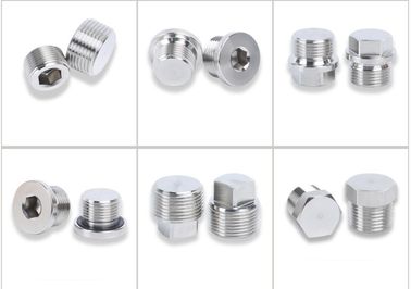 Hydraulische SUS304 Stecker kundenspezifische SS304 Edelstahl Hexagonalstecker Quadratstecker