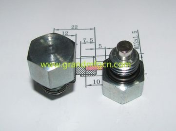 Magnetische Ölabflussstecker männliche BSP-Gitter G1/2 1/4 3/8 Zoll kundenspezifisch erhältlich