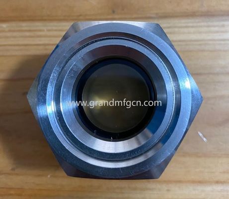 männliche BSP G-Faden 1 1/4 &quot; 1 1/2 &quot; 1 3/4 &quot; Qualität Edelstahl Stiere Augensichtbrille für industrielle PUMPEN