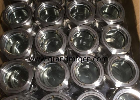 männliche BSP G-Faden 1 1/4 &quot; 1 1/2 &quot; 1 3/4 &quot; Qualität Edelstahl Stiere Augensichtbrille für industrielle PUMPEN